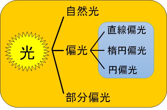 図１．偏光の分類