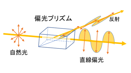 図2．偏光子の例（偏光プリズム）