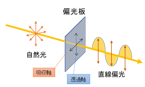 図3．偏光子の例（偏光板）