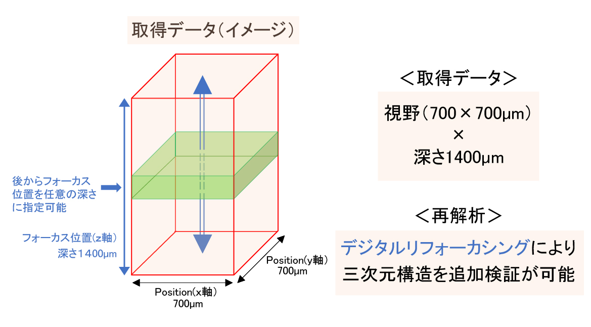 光波動場三次元顕微鏡 MINUK | 大塚電子